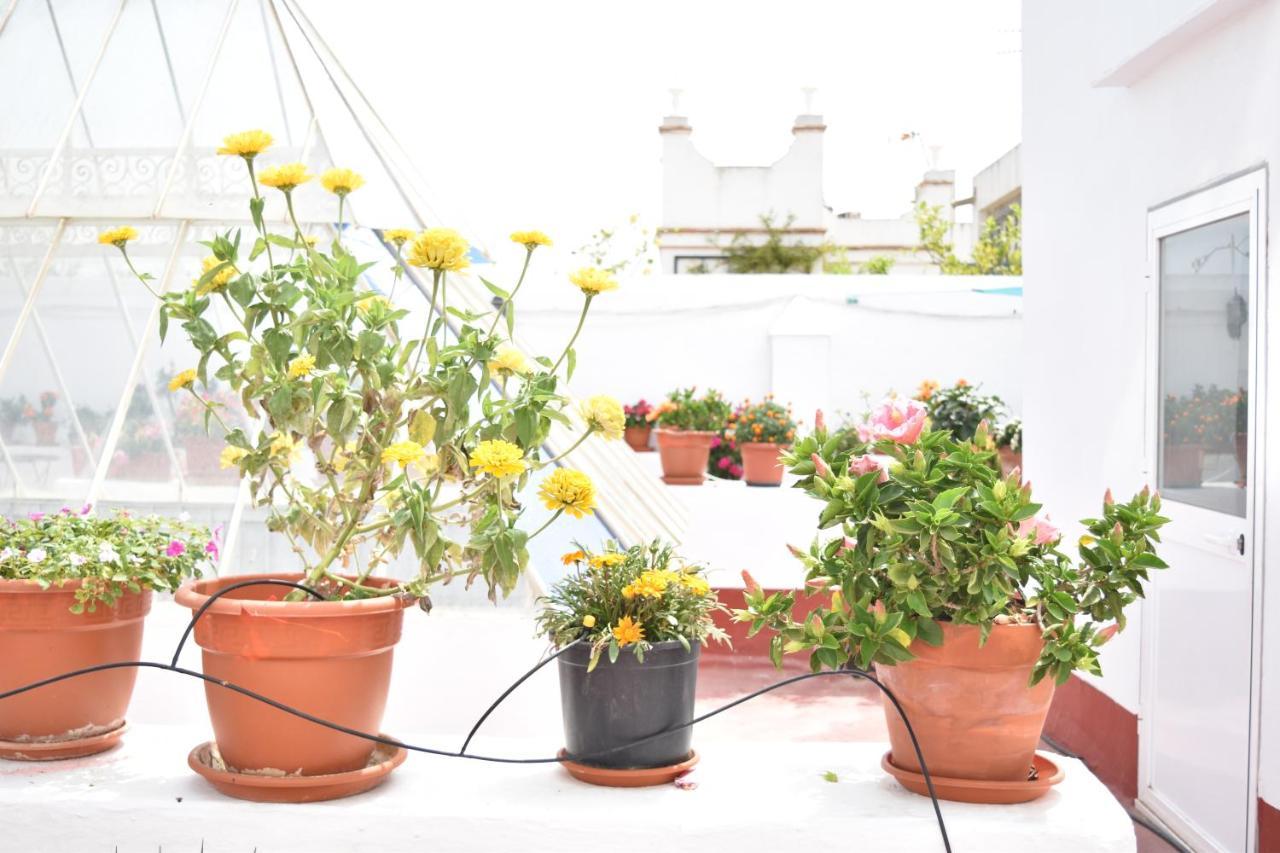Apartamentos Veedor Cádiz Esterno foto