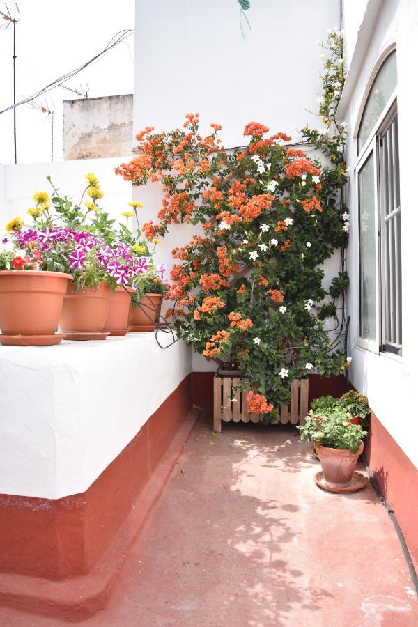 Apartamentos Veedor Cádiz Esterno foto